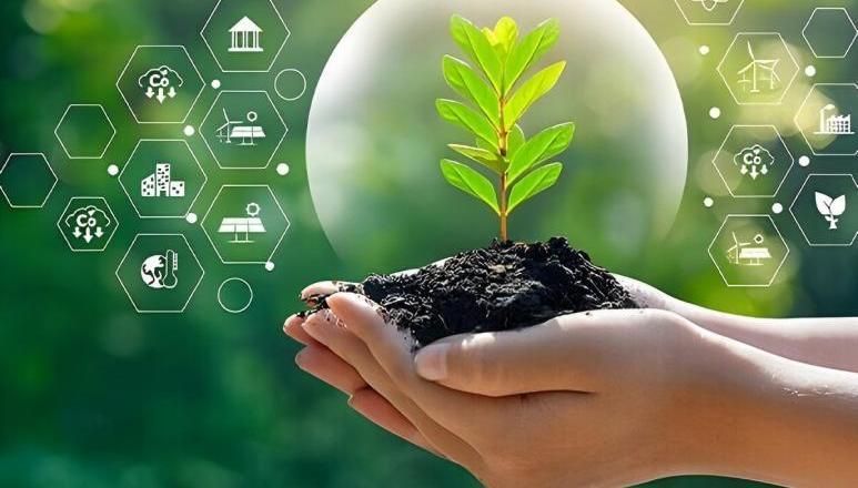 Zhejiang Petroleum & Chemical Co., Ltd.